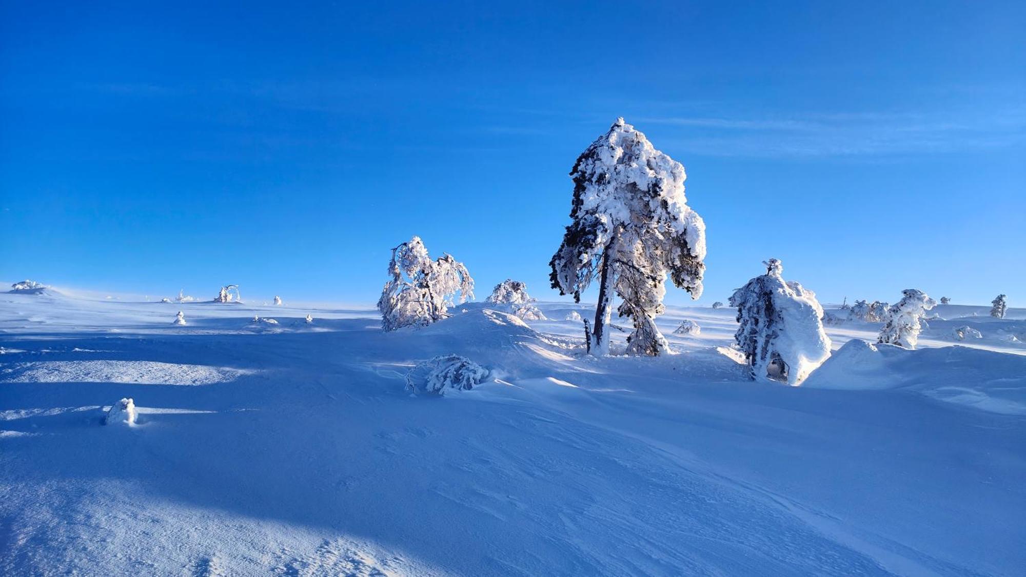 Fulufjellet Ljørdal Exterior foto