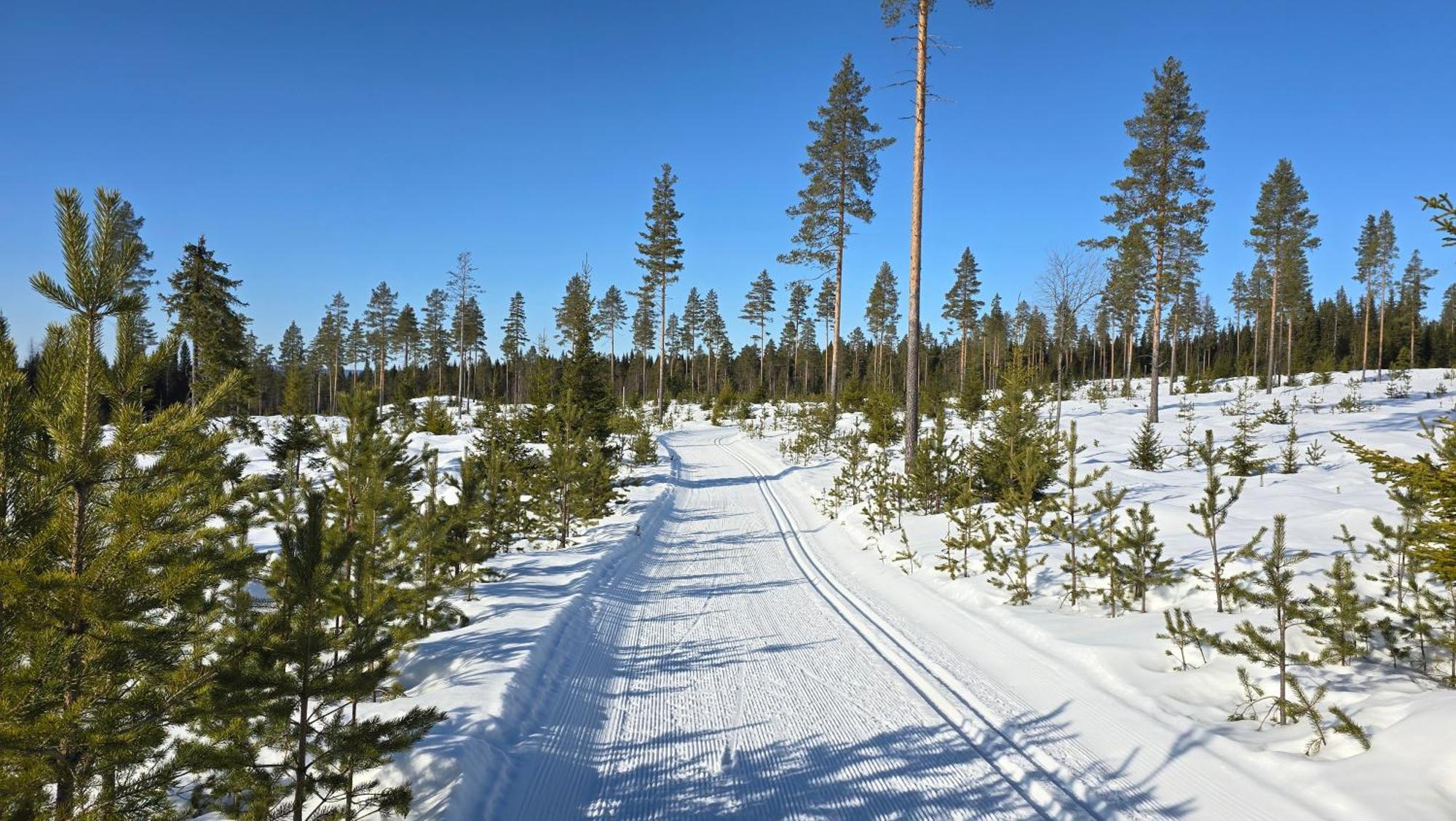 Fulufjellet Ljørdal Exterior foto