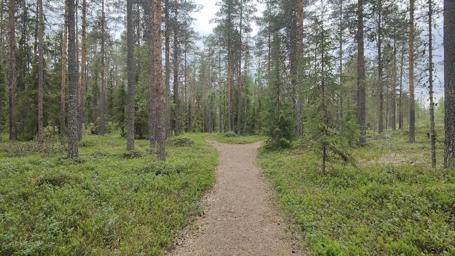 Fulufjellet Ljørdal Exterior foto