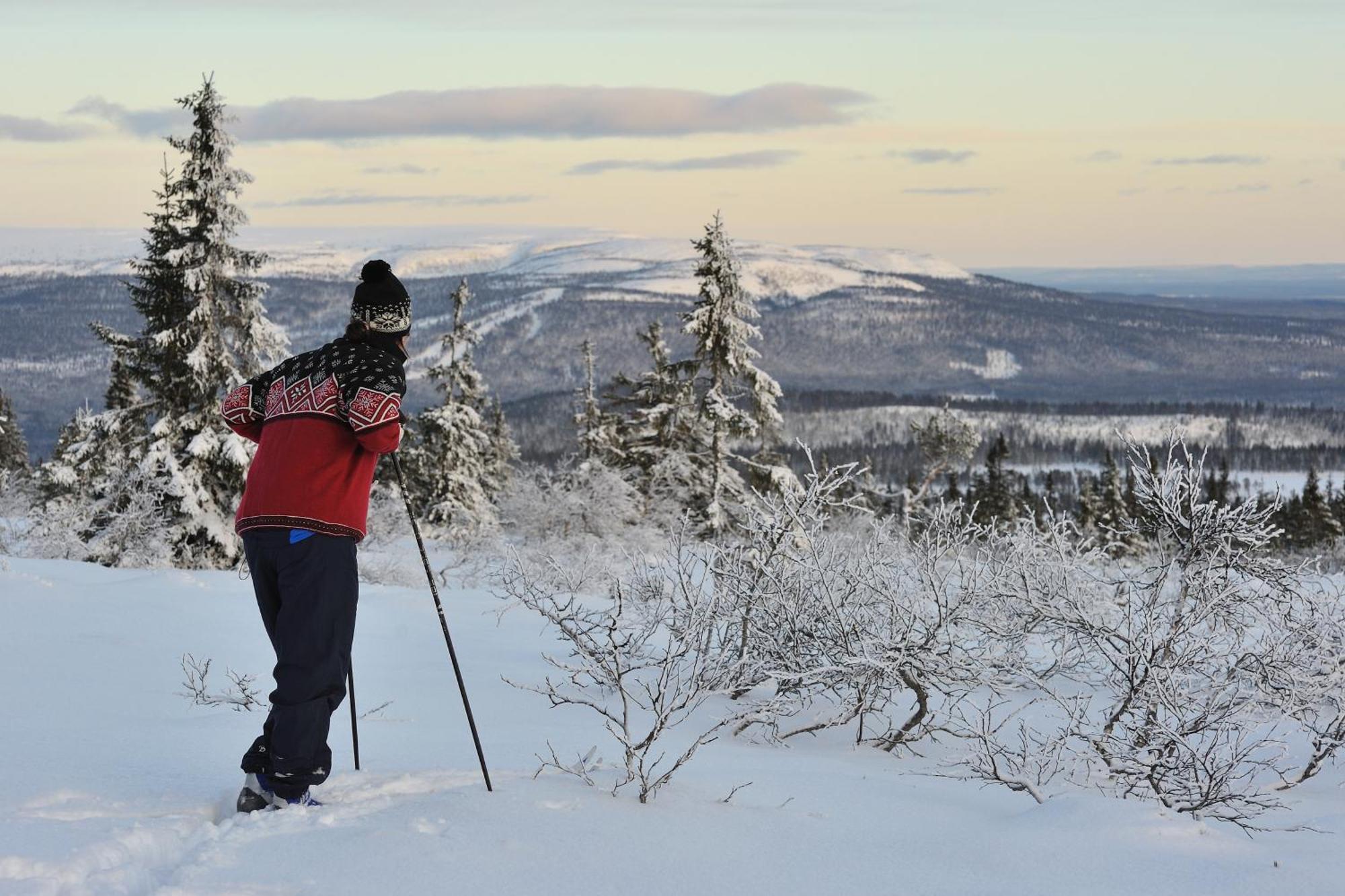 Fulufjellet Ljørdal Exterior foto